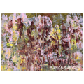 2fe4a9b9-d518-406c-8d67-4b68620ee9e9